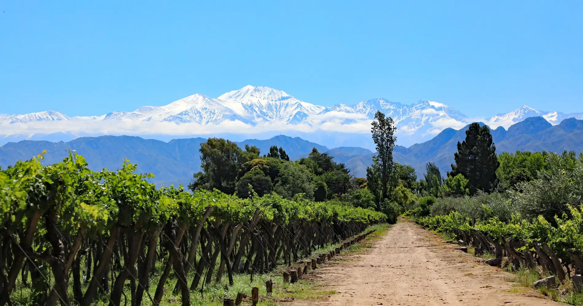 Mendoza