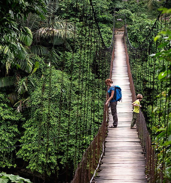 Islas y Jungla: Sumatra y Bali