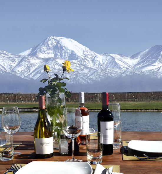 Entre Viñedos y Termas: Mendoza y el Valle de Uco